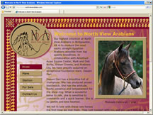 North View Arabians