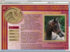 North View Arabians